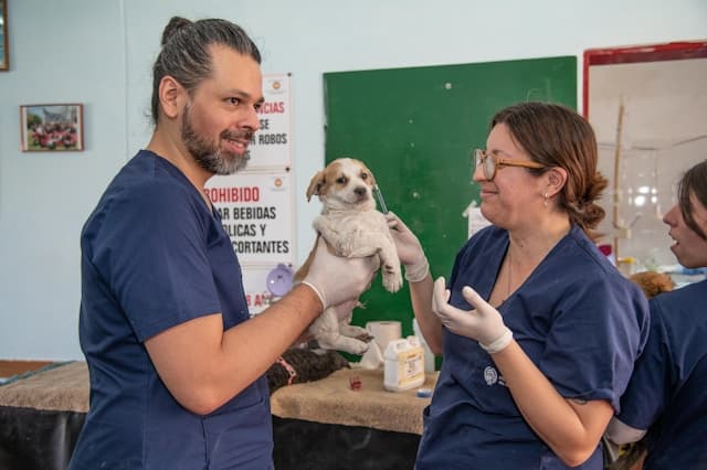 Medicina Veterinaria General